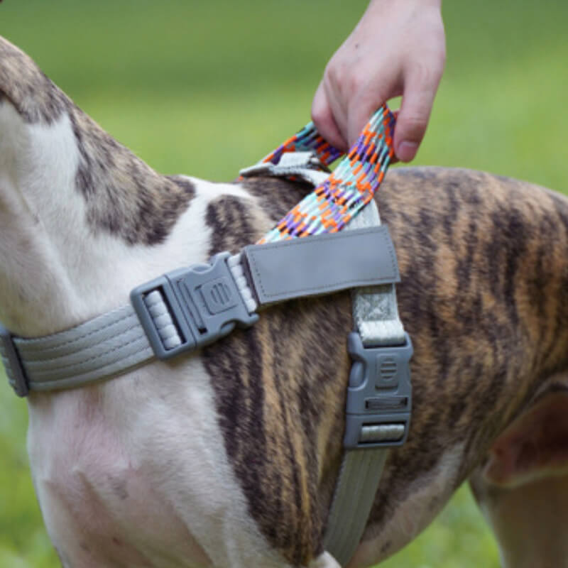 Harnais anti-traction pour grand chien, tampon réfléchissant, pour coffre