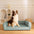 Ultimate Lounger Full Support Comfortable Orthopedic Dog Sofa Bed