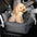 Waterproof Dog Car Seat Bed - First Class