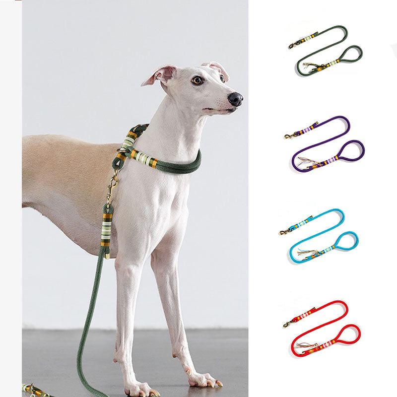Cuerda trenzada con un patada a mano accesorios para perros con correa de entrenamiento