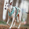 Harnais pour chien Anti-traction léger, imperméable et respirant et laisse multifonctionnelle
