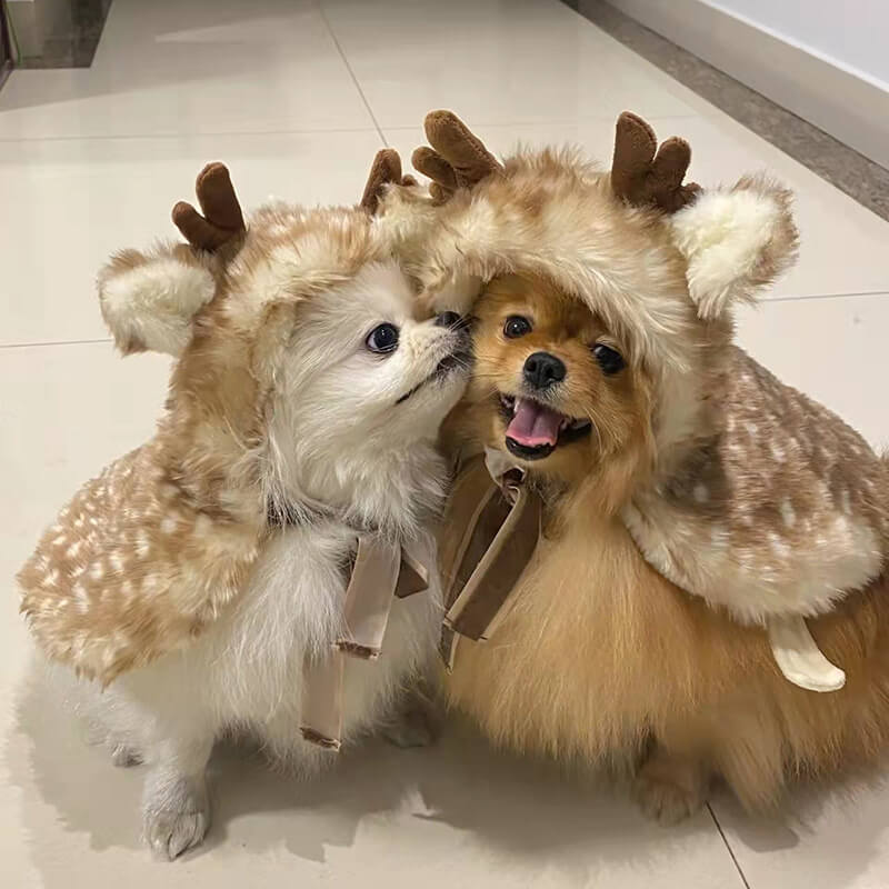 Ropa de ropa de mascotas Cape de cape y gato disfraces de perros de lujo regalos