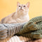 Make Waffle Biscuit Couch Cover – Cozy Soft Flannel & Breathable Pet Mat
