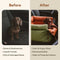 Deluxe-Autositz-Sitzerhöhung für Hunde aus Kunstleder – Urban Voyager