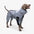 Reflective All-weather Waterproof Cool Dog Accessories Rain Coat