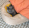Cobertor para cachorro em formato de folha