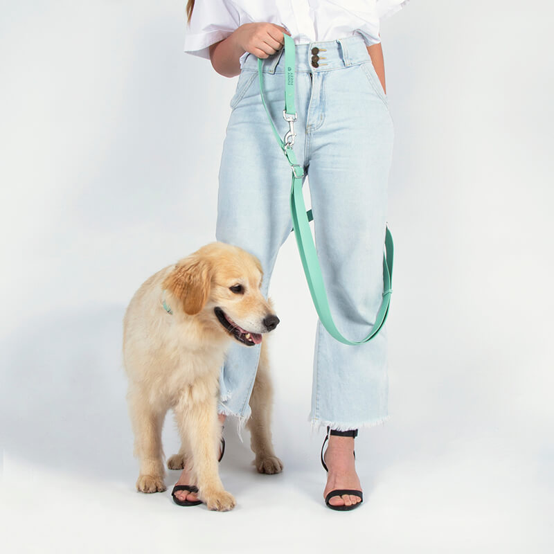 Correa para perros gomoso